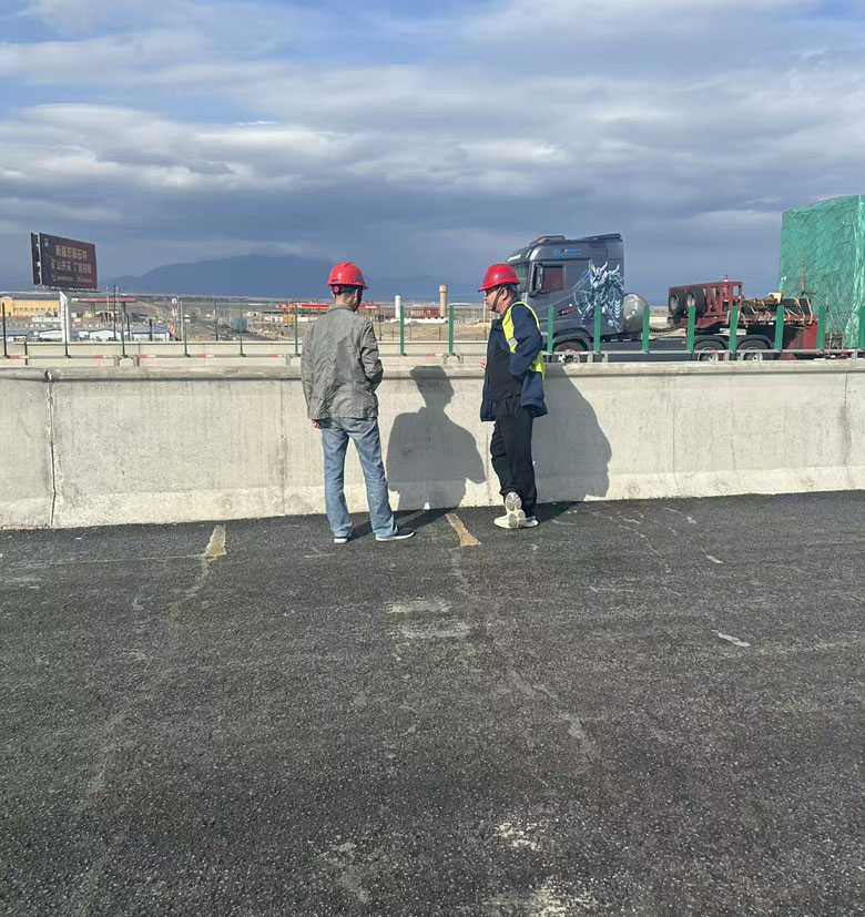 Concrete repair and protection engineering