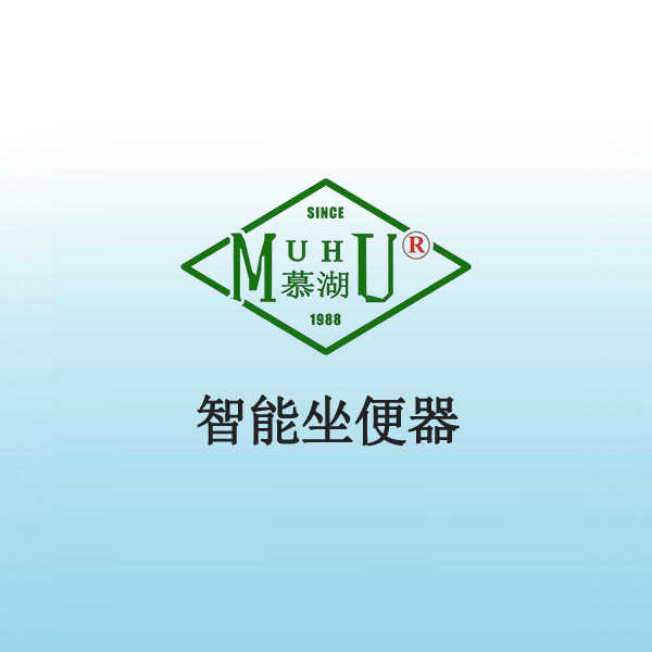 9002 智能坐便器