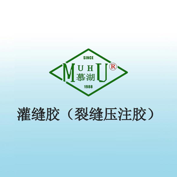 3031 灌缝胶（裂缝压注胶）
