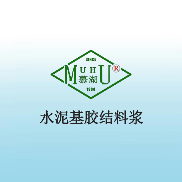 1093 水泥基胶结料浆